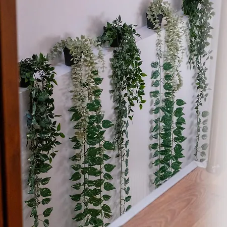 公寓 Taksim Fiore 伊斯坦布尔